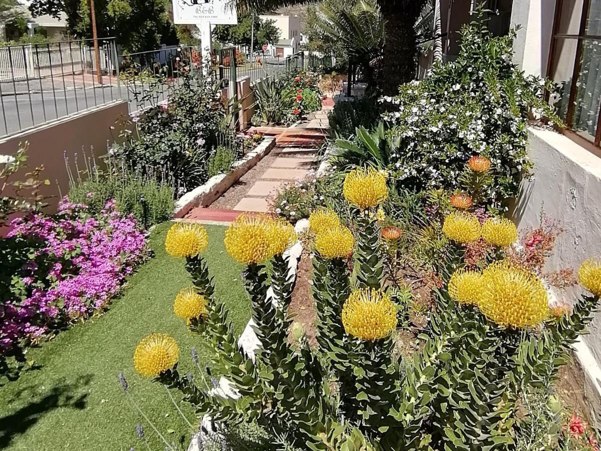 مبيت وإفطار مونتاغو Squirrels Corner المظهر الخارجي الصورة