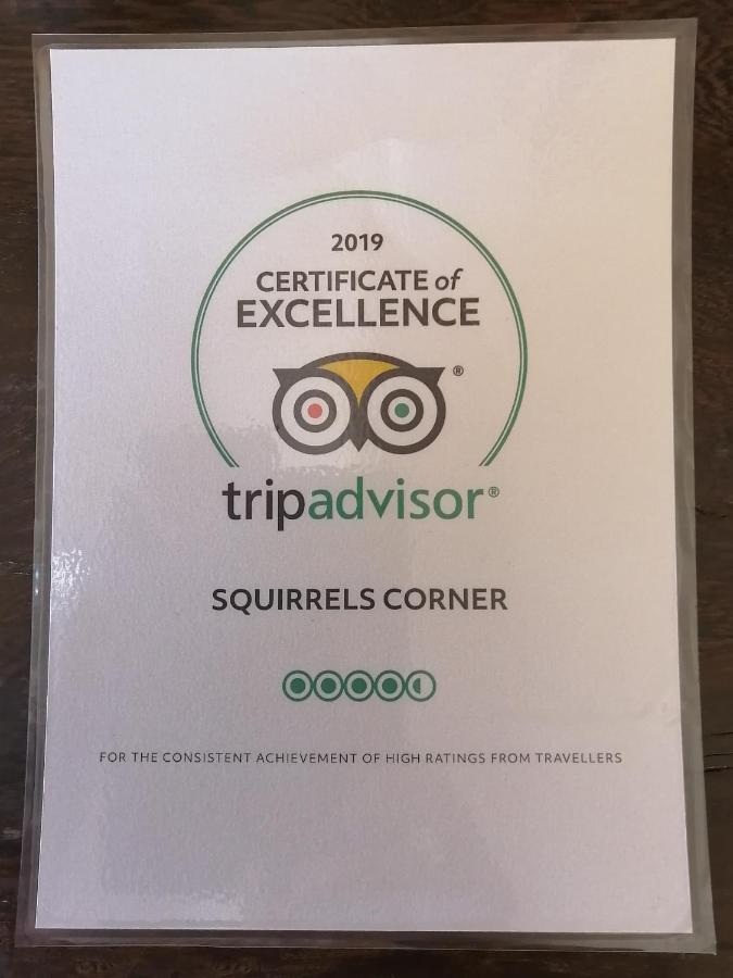 مبيت وإفطار مونتاغو Squirrels Corner المظهر الخارجي الصورة
